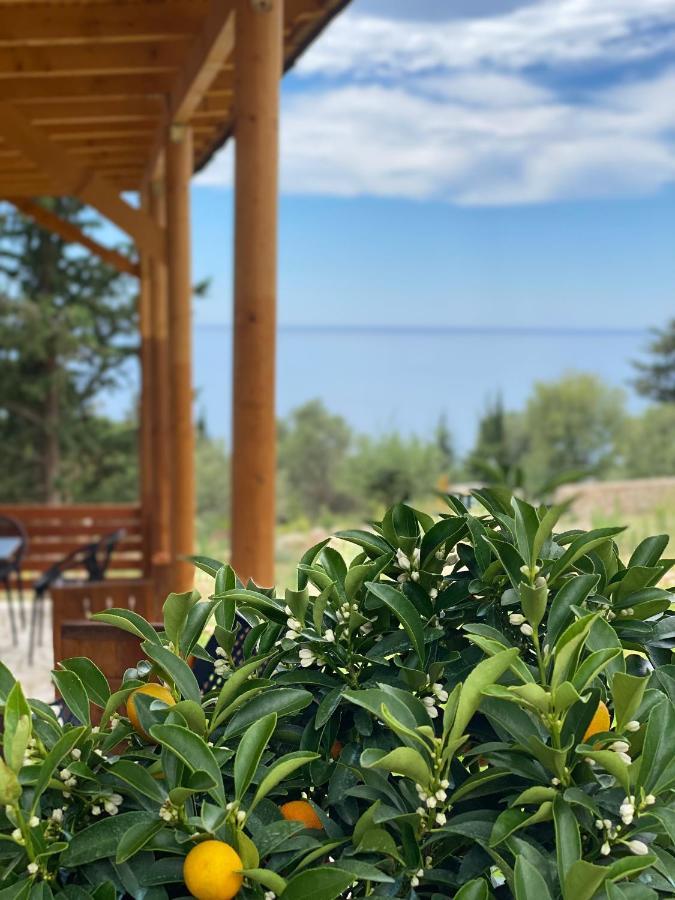 Summer Wine Boutique Hotel Dhërmi Buitenkant foto